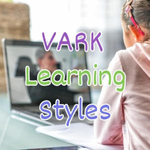 VARK Learning Styles For Online Course Creators