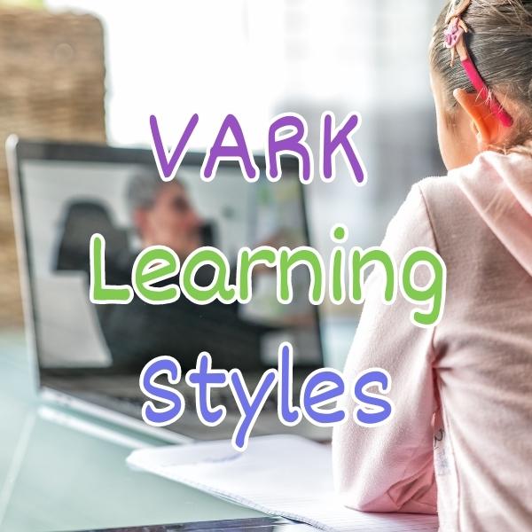 Neil Flemming’s V.A.R.K. model can help teachers by identifying four different learning styles that students prefer.